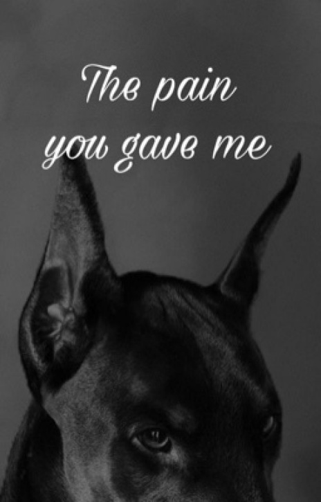 The pain you gave me (CZĘŚĆ PIERWSZA)